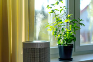 Blog 3 indoor air quality