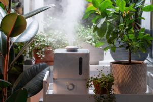 Blog 2 indoor air quality